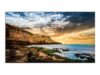 SAMSUNG QE85T 85inch UHD 3840x2160 16 9 350cd/m2 16/7 Player Lite HP 2x10W 3yr